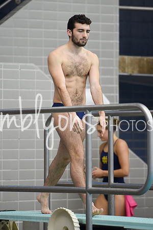 DSC_6110_edited-1