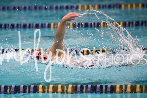 DSC_5829_edited-1