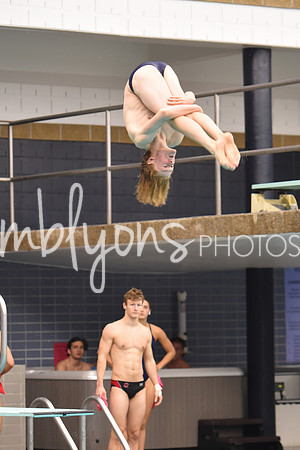 DSC_5835_edited-1