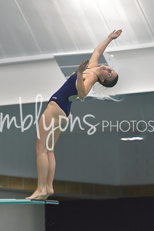 DSC_5700_edited-1