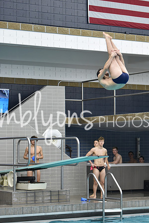 DSC_5815_edited-1