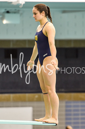 ND_Dive-368_edited-1