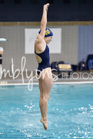 ND_Dive-382-1_edited-1