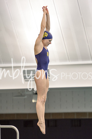 ND_Dive-071_edited-1