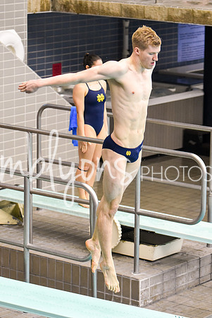 ND_Dive-146_edited-1