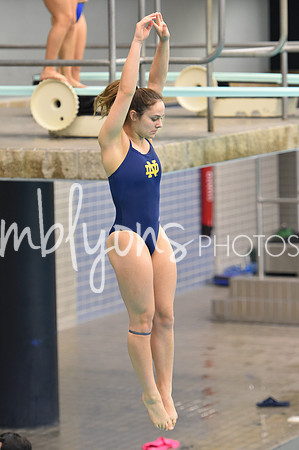 ND_Dive-064_edited-1