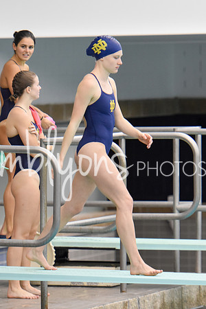 ND_Dive-068-2_edited-1
