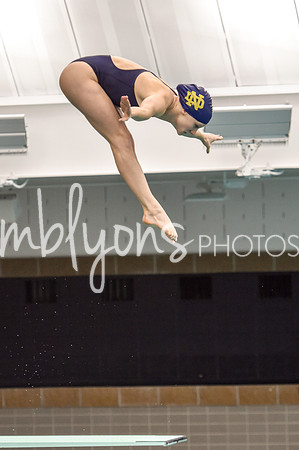ND_Dive-124_edited-1