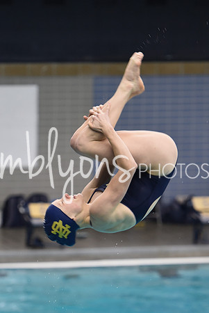 ND_Dive-383-1_edited-1