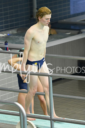 ND_Dive-085_edited-1