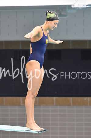 ND_Dive-015