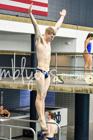 ND_Dive-044-1_edited-1
