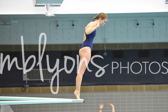 ND_Dive-001