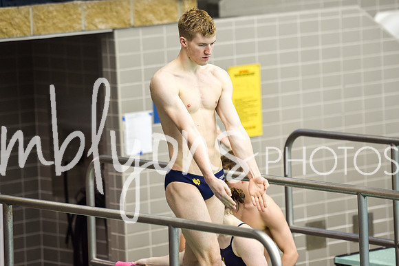 ND_Dive-300_edited-1