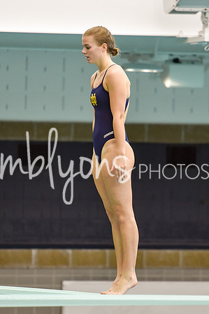 ND_Dive-364_edited-1