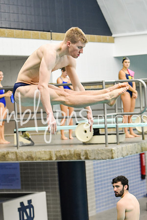 ND_Dive-056-1_edited-1