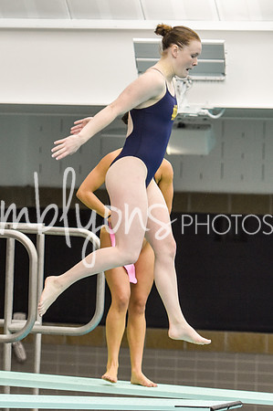 ND_Dive-191_edited-1