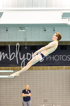 ND_Dive-005
