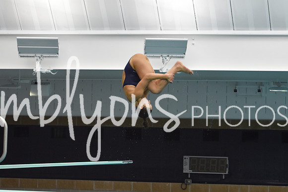 ND_Dive-058_edited-1