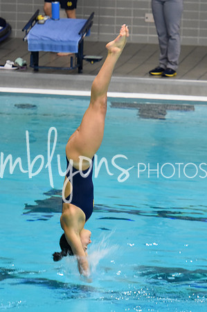ND_Dive-038