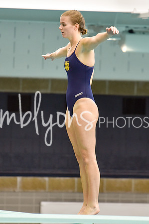 ND_Dive-365_edited-1
