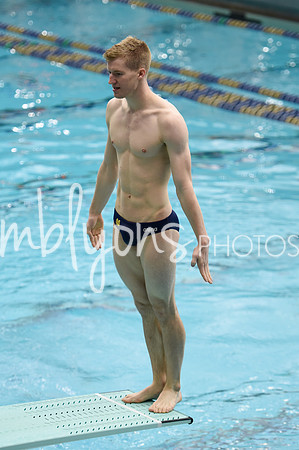 ND_Dive-356_edited-1