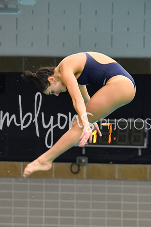 ND_Dive-035
