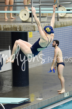 ND_Dive-343_edited-1