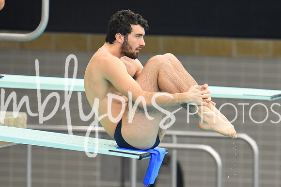ND_Dive-022