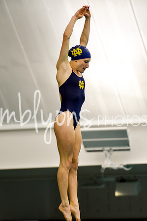 ND_Dive-310_edited-1
