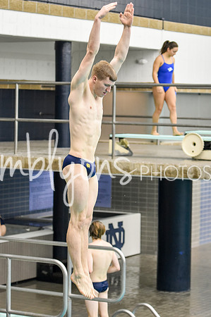 ND_Dive-043_edited-1