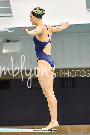 ND_Dive-336-1_edited-1