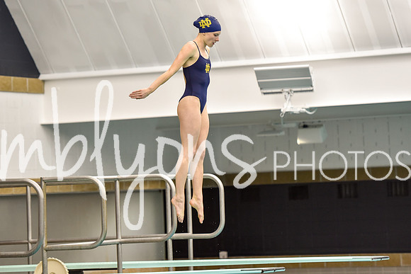 ND_Dive-278_edited-1