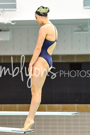 ND_Dive-041