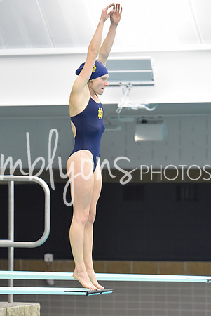 ND_Dive-251-1_edited-1
