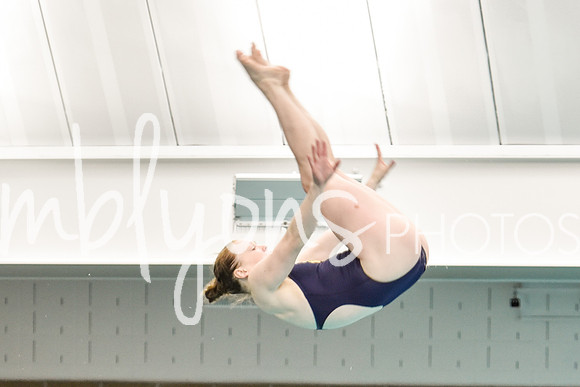 ND_Dive-198_edited-1