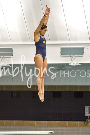 ND_Dive-135_edited-1