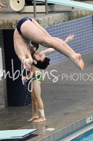 ND_Dive-239_edited-1