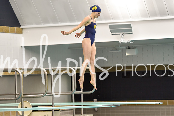 ND_Dive-279_edited-1