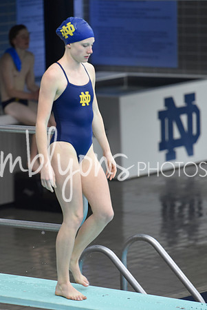 ND_Dive-341-1_edited-1