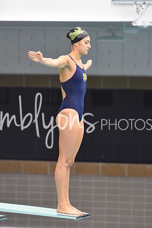 ND_Dive-099_edited-1