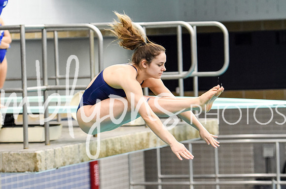 ND_Dive-066_edited-1