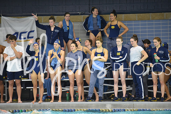 ND_Swim-185