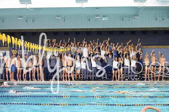 ND_Swim-675-1_edited-1