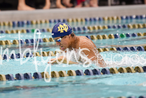 ND_Swim-300_edited-1