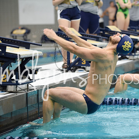ND_Swim-256_edited-1