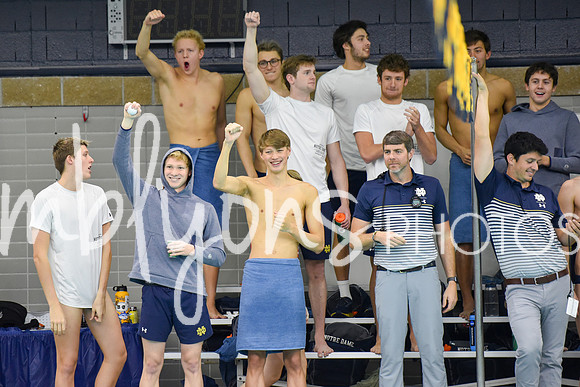 ND_Swim-632-1_edited-1