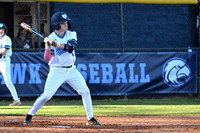 DSC_5071-1_edited-1