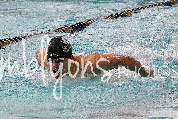 DSC_3325_edited-1
