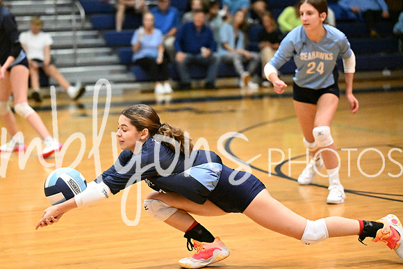 DSC_9685_edited-1